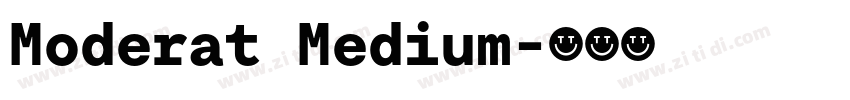 Moderat Medium字体转换